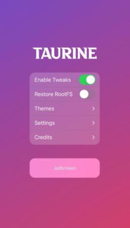 图片[4]-Taurine牛磺酸越狱教程支持所有设备iOS14-iOS14.3奥德赛