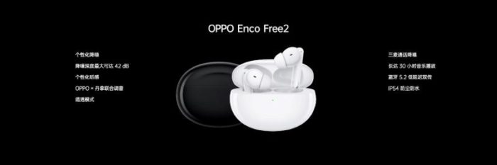 OPPO Enco Free2